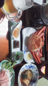 ２０１７/８/２９/湯の浜温泉 画像1