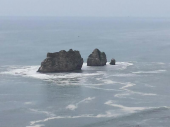 海の箱庭 画像1