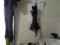 母親の一周忌