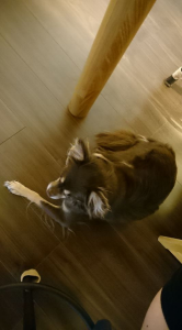 ☆ぎっくり首？☆ 画像2