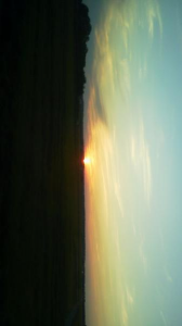 ２０１７/９/９/フラメンコ 画像2