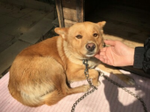 明日、対面 画像1