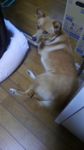 １日早い？　遅い？ 画像2