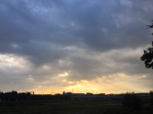 若い広場♪ 画像1