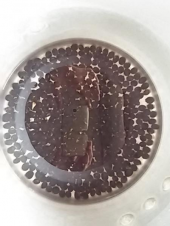 家事 と 煮豆 画像1