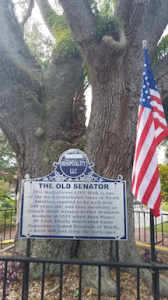 歴史的な街並みを♡ 画像3