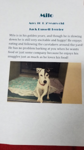 良いコにしてた~? 画像2