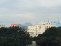 秋ですね～♪