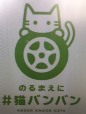 『　猫バンバンの季節～　』 画像2