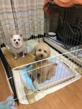 ☆今週いろいろ☆ 画像3