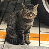 『　根性！？　』 画像1