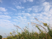 体育の日♪ 画像2