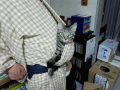 おもちゃ