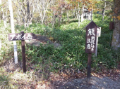 ワイルド 画像2