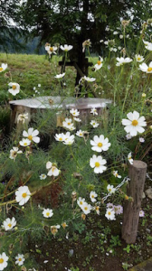 防寒対策✦風邪予防 画像1