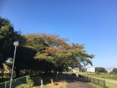 青空♪ 画像2