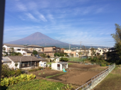 会社行ってきてよかった 画像1