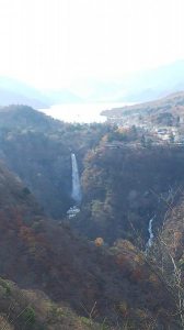 エネルギー消費 画像1