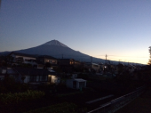 痛いが行く 画像1