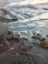『　初氷！？　』 画像2
