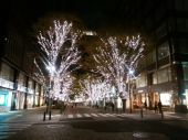 東京イルミネーション✨ 画像2