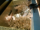 東京イルミネーション✨✨✨✨ 画像3