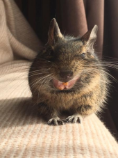 ピラティス 画像2