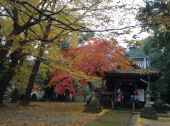 紅葉のウォーキングはいいね 画像2