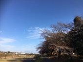 カラダノコエヲキク♪ 画像1