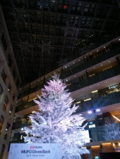 KITTEのクリスマスツリー✨✴⭐ 画像1