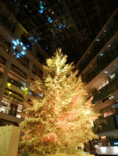 KITTEのクリスマスツリー✨✴⭐ 画像3
