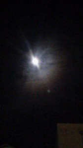 ２０１７/１２/２/フラメンコ/銭湯（薬湯） 画像3