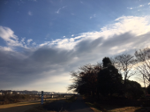 朝ラン♪ 画像3