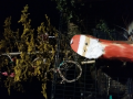 公園のサンタ♬
