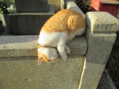 no title 画像3