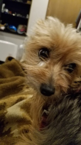 アボカド☆食べよう!! 画像2