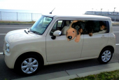 車検終了 画像1