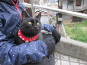 no title 画像3