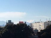 2週間ぶりラン♪ 画像1