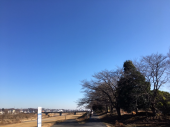 2週間ぶりラン♪ 画像2