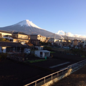 綺麗な物好き 画像1