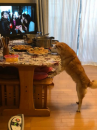 ☆怒涛の三連飲み