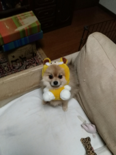 午後から休暇・・・・母と買い物・・・・ 画像1