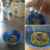 ☆新年明けまして☆ 画像2