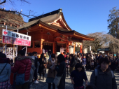 初日は初詣 画像1