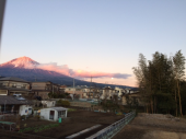 初日は初詣 画像2