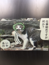 『　仕事始め！　』 画像2