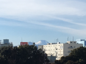 七草♪ 画像1