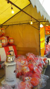 ２０１８/１/１３/フラメンコ/日帰り温泉 画像1