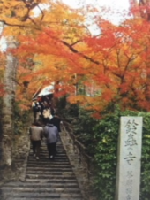 『　 鈴虫寺！？　　』 画像1